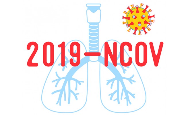 Ka Vrai Faux Sur Le Coronavirus 2019 Ncov